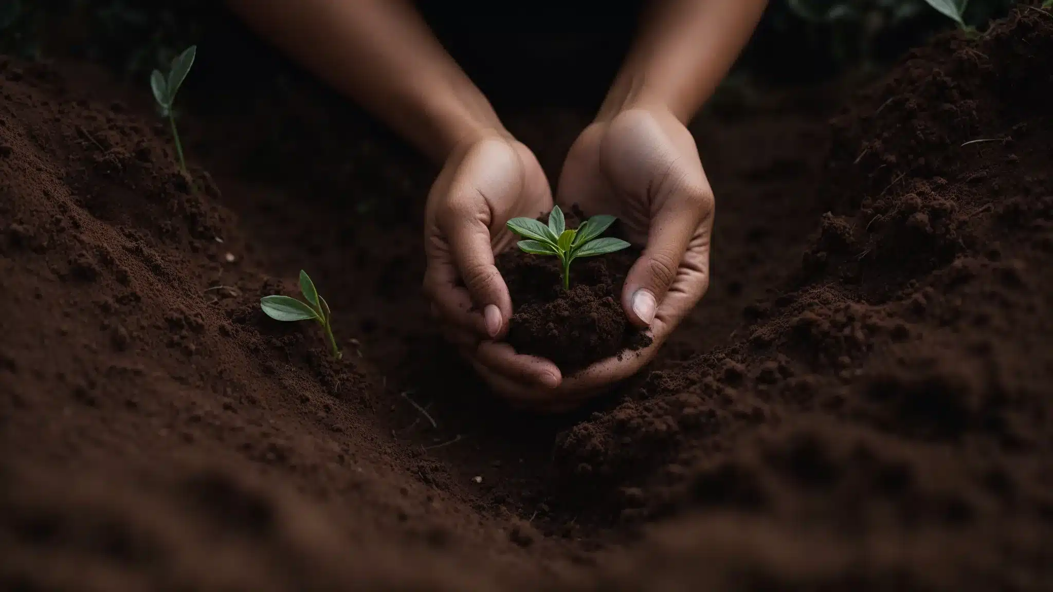 a person is softly cradling a small plant sprouting from rich soil, symbolizing nurturing growth and recovery.